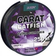 Волосінь JAXON Carat Catfish 250m